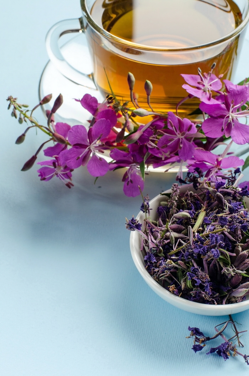 Fireweed-tea.jpg
