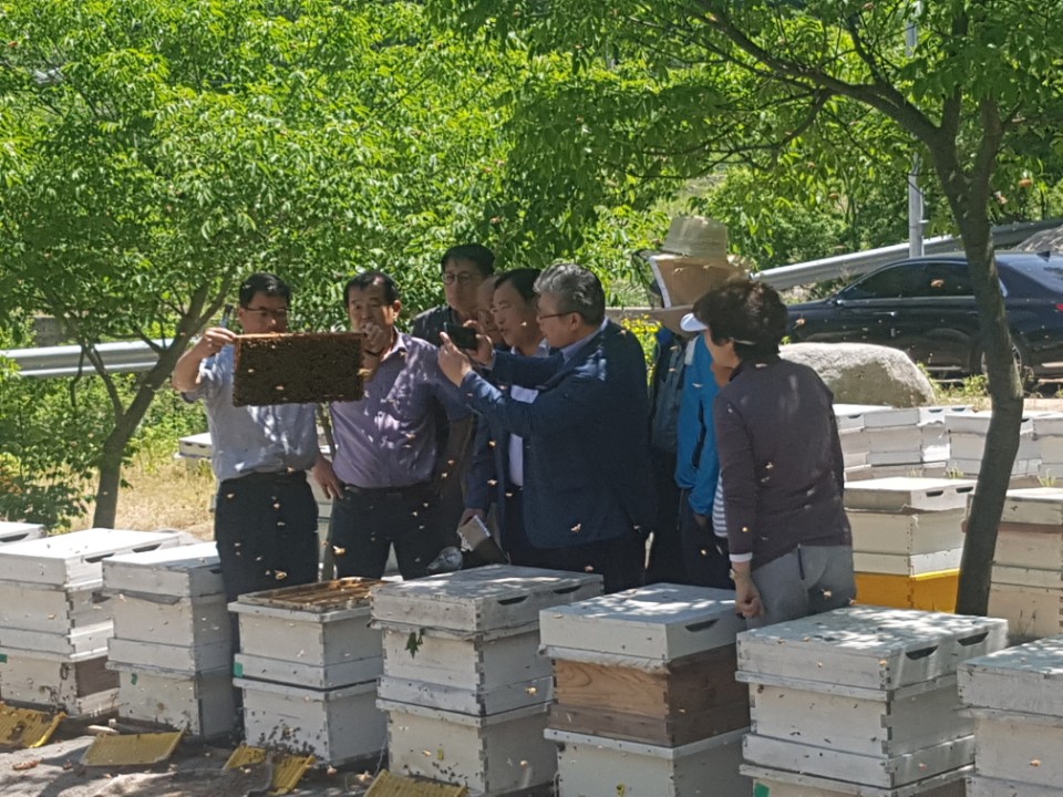 KakaoTalk_20180528_131510217.jpg