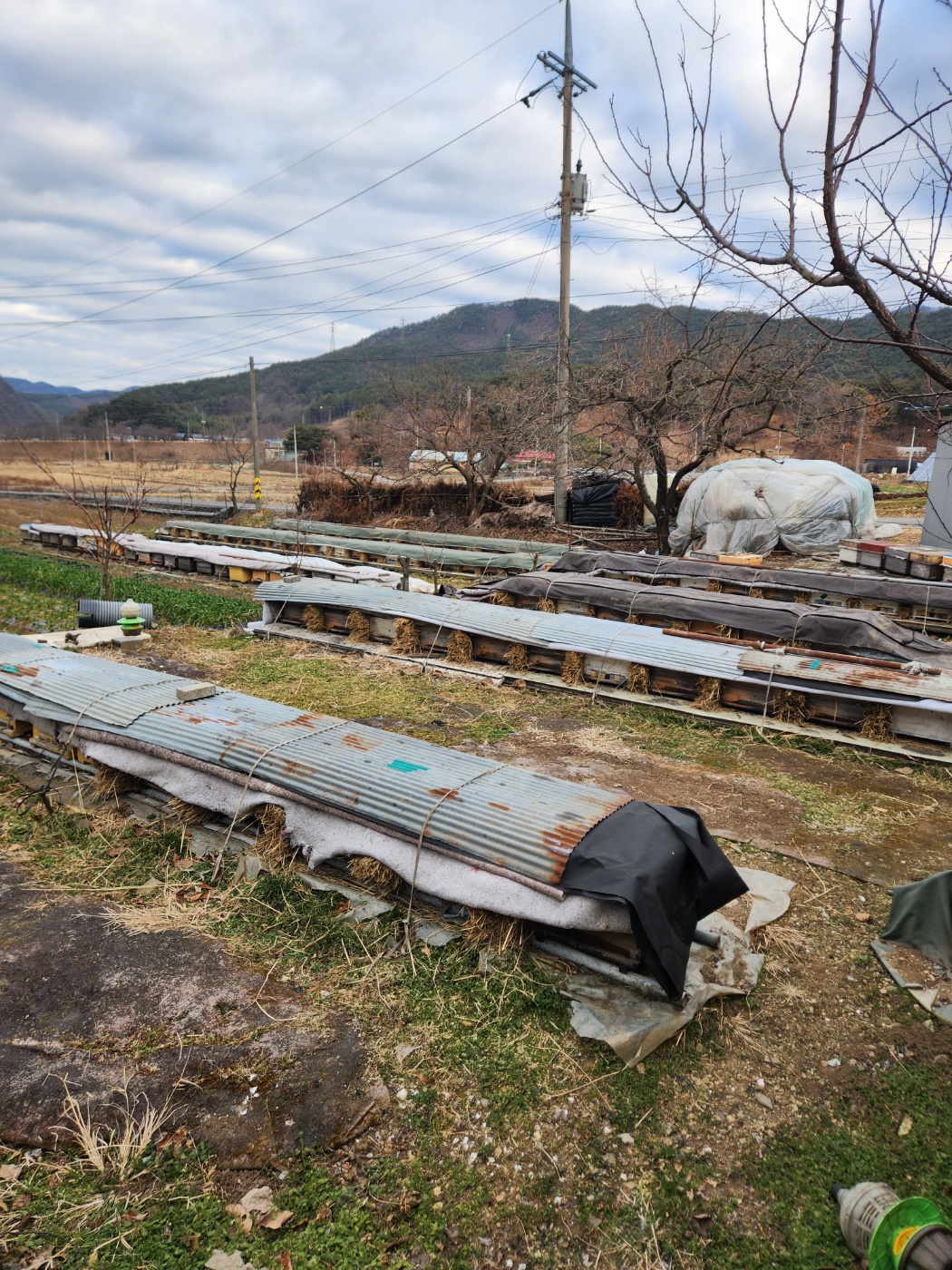 KakaoTalk_20260116_135231939.jpg