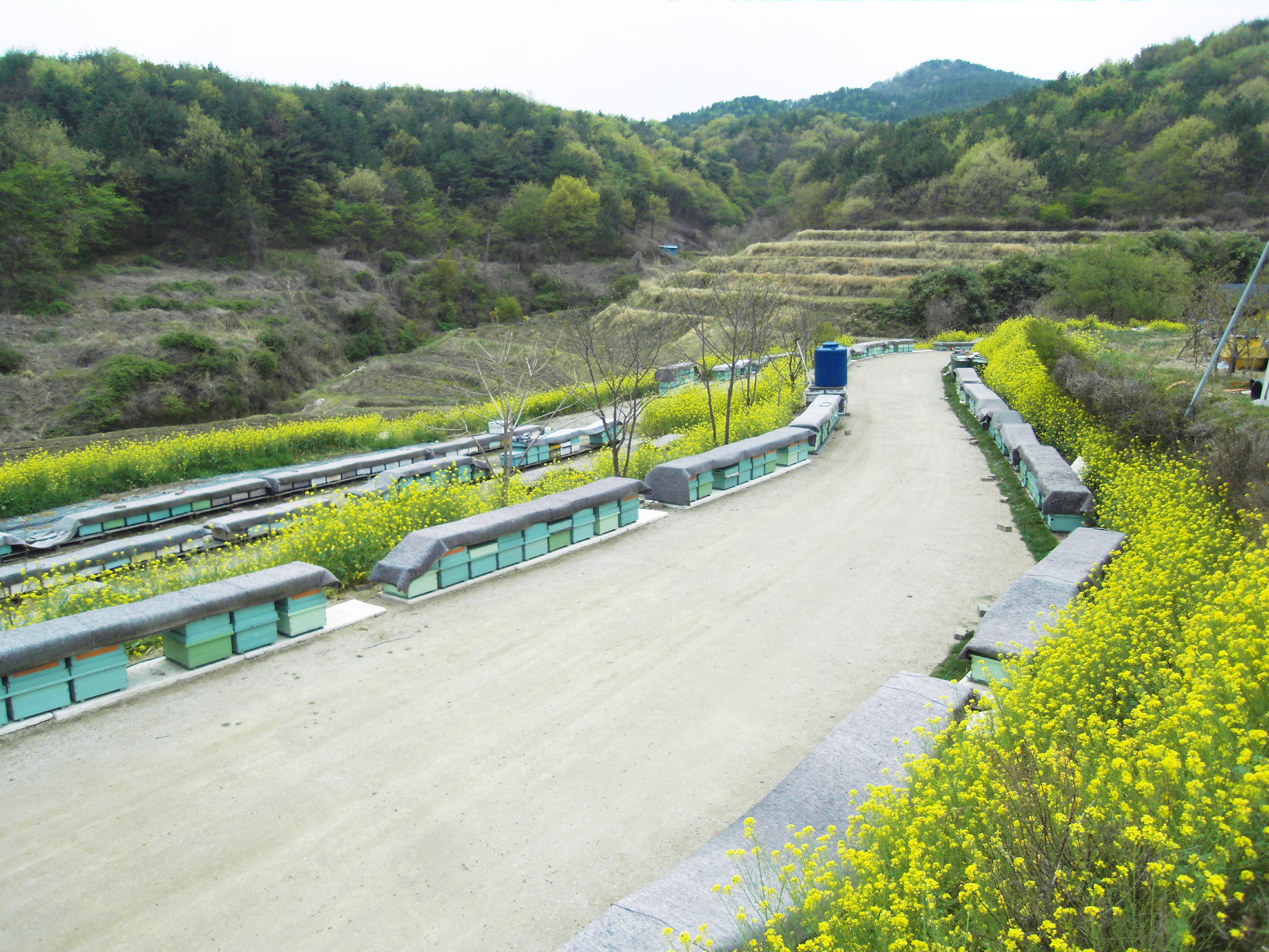 SDC12004.JPG